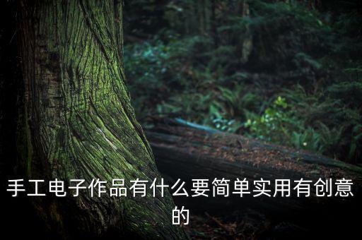 手工電子作品有什么要簡(jiǎn)單實(shí)用有創(chuàng)意的
