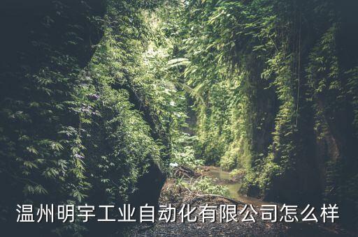 溫州明宇工業(yè)自動化有限公司怎么樣