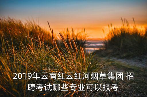 2019年云南紅云紅河煙草集團(tuán) 招聘考試哪些專業(yè)可以報(bào)考
