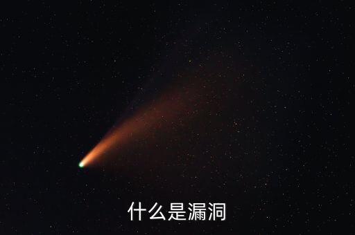 什么是漏洞