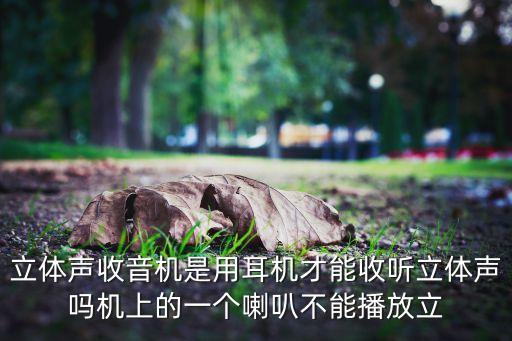 立體聲收音機(jī)是用耳機(jī)才能收聽立體聲嗎機(jī)上的一個喇叭不能播放立