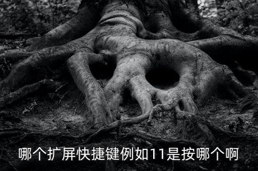 哪個(gè)擴(kuò)屏快捷鍵例如11是按哪個(gè)啊