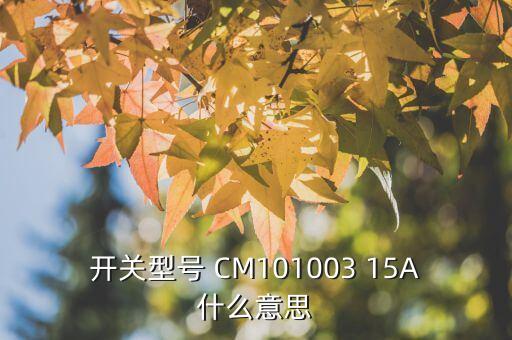 cm10，松下CM10好不好