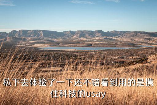 攜住，攜手住一處打一字