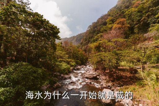 巨浪一號(hào)，巨型一號(hào)怎么樣
