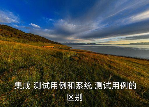 集成測試