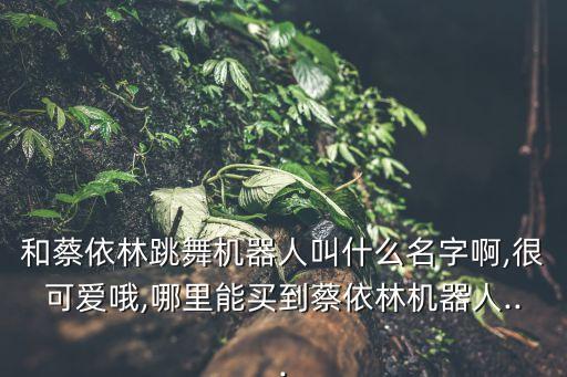 和蔡依林跳舞機器人叫什么名字啊,很可愛哦,哪里能買到蔡依林機器人...
