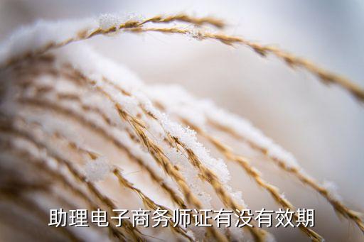 hbsoft，計(jì)算機(jī)軟考初級會涉及哪些內(nèi)容難嗎