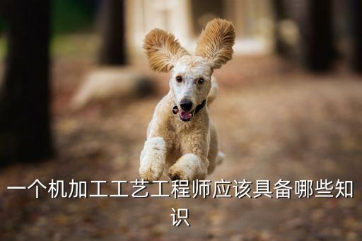 制造業(yè)自動化設(shè)備生產(chǎn)流程,工業(yè)自動化設(shè)備有哪些?