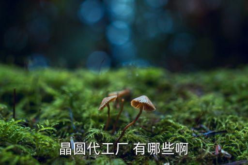 晶圓代工廠 有哪些啊