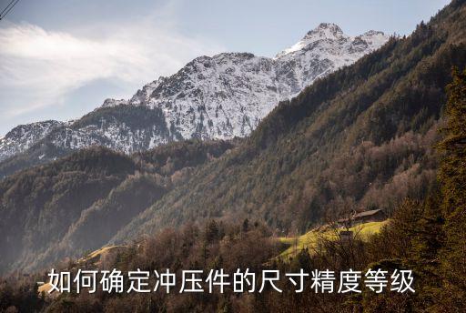 滄州沖床自動化專業(yè)設(shè)備,工業(yè)自動化專業(yè)是怎么一回事?
