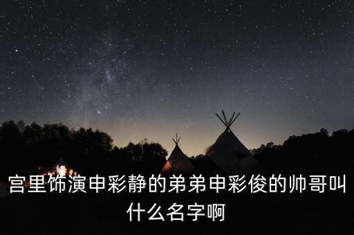 宮里飾演申彩靜的弟弟申彩俊的帥哥叫什么名字啊