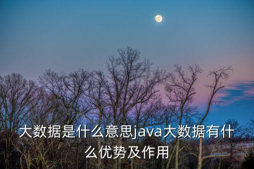 大數(shù)據(jù)是什么意思java大數(shù)據(jù)有什么優(yōu)勢(shì)及作用