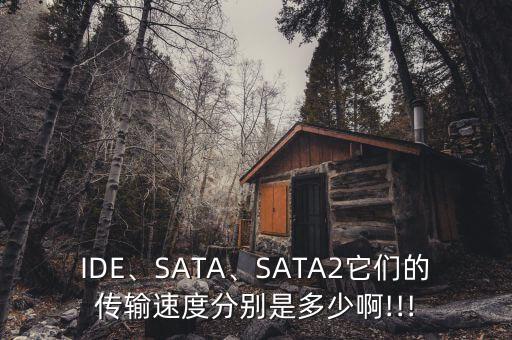 ppide 季度數據