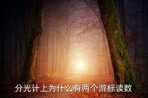分光計(jì)上為什么有兩個(gè)游標(biāo)讀數(shù)