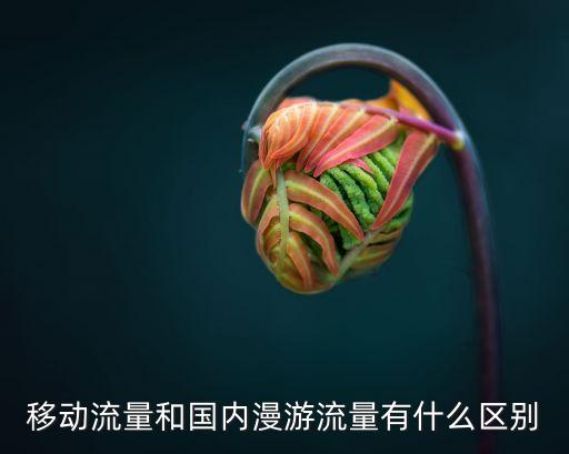 移動流量和國內(nèi)漫游流量有什么區(qū)別