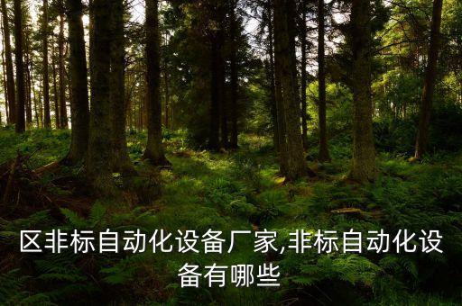 鎮(zhèn)海區(qū)非標(biāo)自動化設(shè)備廠家,非標(biāo)自動化設(shè)備有哪些