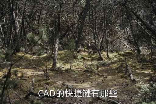 中望cad快捷鍵，cad的繪圖快捷鍵有哪些
