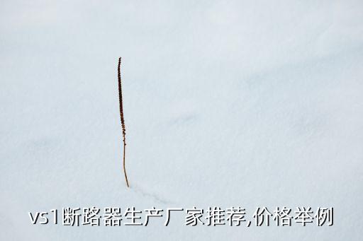 vs1斷路器生產(chǎn)廠家推薦,價(jià)格舉例