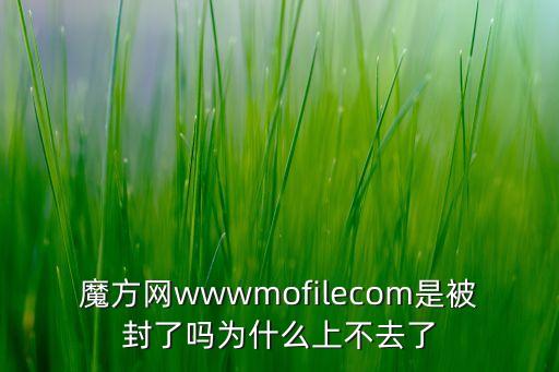 魔方網(wǎng)，魔方網(wǎng)是干嘛的