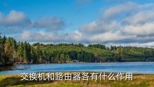 交換機(jī)和路由器各有什么作用