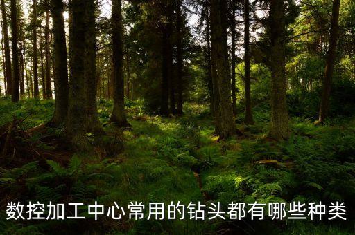 網(wǎng)鉆加工自動(dòng)化設(shè)備有哪些,自動(dòng)化設(shè)備種類有哪些?