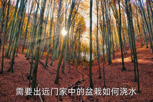 土壤濕度計(jì)，想買土壤濕度計(jì)能給推薦個簡單實(shí)用的產(chǎn)品嗎