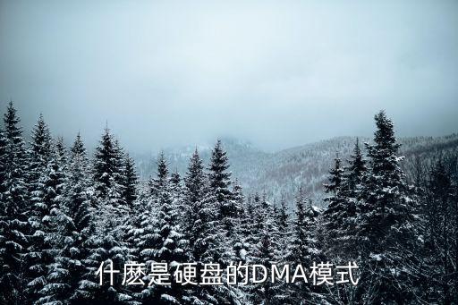 什麼是硬盤的DMA模式
