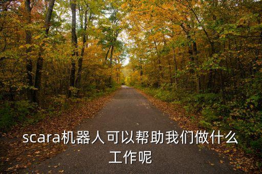 scara機(jī)器人可以幫助我們做什么工作呢