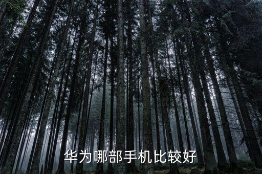 華為哪部手機比較好