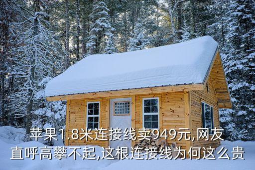 蘋(píng)果1.8米連接線賣(mài)949元,網(wǎng)友直呼高攀不起,這根連接線為何這么貴
