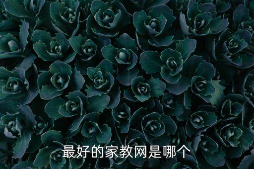 最好的家教網是哪個
