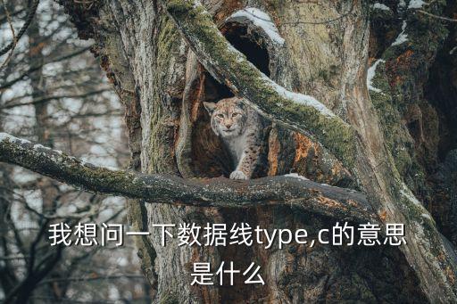 我想問一下數(shù)據(jù)線type,c的意思是什么