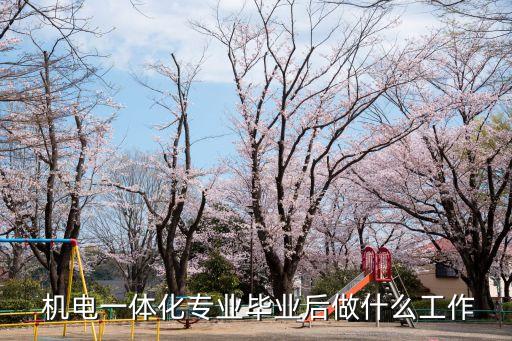  機電一體化專業(yè)畢業(yè)后做什么工作