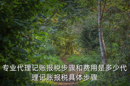 專業(yè)代理記賬報(bào)稅步驟和費(fèi)用是多少代理記賬報(bào)稅具體步驟