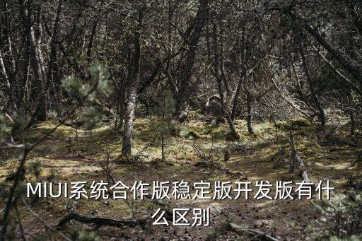 MIUI系統(tǒng)合作版穩(wěn)定版開發(fā)版有什么區(qū)別