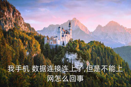 我手機 數(shù)據(jù)連接連上了,但是不能上網(wǎng)怎么回事