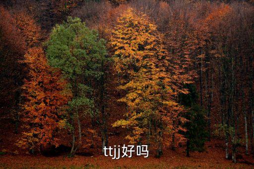 ttjj好嗎