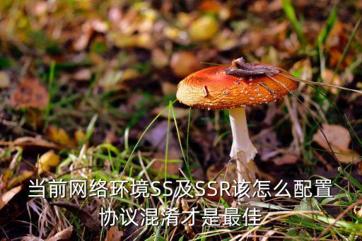 當(dāng)前網(wǎng)絡(luò)環(huán)境SS及SSR該怎么配置協(xié)議混淆才是最佳