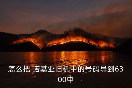 怎么把 諾基亞舊機(jī)中的號(hào)碼導(dǎo)到6300中