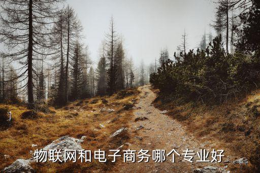物聯(lián)網(wǎng)和電子商務(wù)哪個專業(yè)好