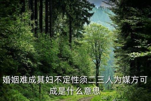 方可成，妻工鐵石方可成老什么意思