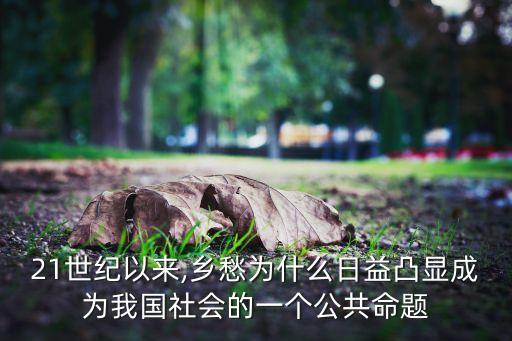 21世紀(jì)以來,鄉(xiāng)愁為什么日益凸顯成為我國社會(huì)的一個(gè)公共命題