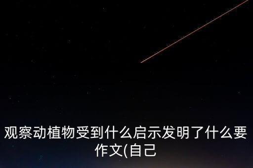 竹筒自動化設(shè)備,竹筒奶茶設(shè)備