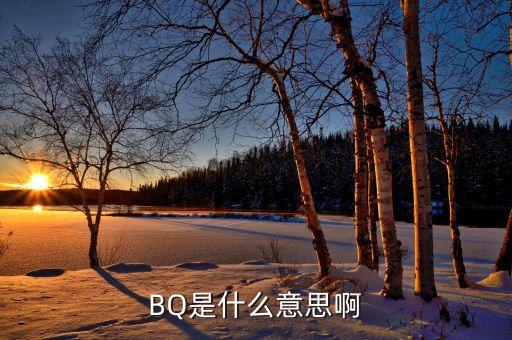 bq，BQ是什么意思啊