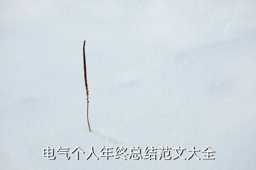 電氣自動(dòng)化專業(yè)的感悟,電力系統(tǒng)及其自動(dòng)化專業(yè)是坑嗎?