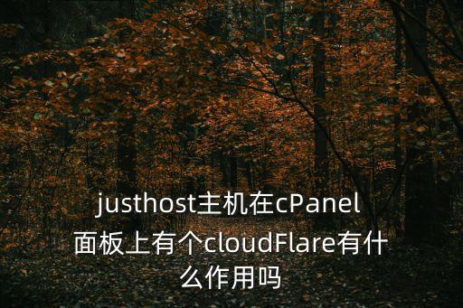 justhost主機(jī)在cPanel面板上有個(gè)cloudFlare有什么作用嗎