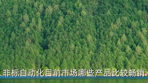 非標(biāo)自動(dòng)化目前市場哪些產(chǎn)品比較暢銷