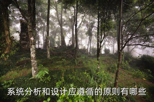 系統(tǒng)分析和設(shè)計(jì)應(yīng)遵循的原則有哪些