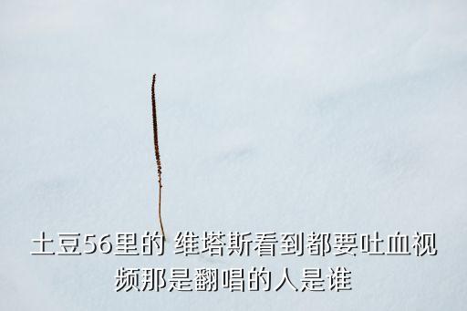 土豆56里的 維塔斯看到都要吐血視頻那是翻唱的人是誰